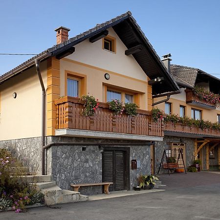 Tourist Farm Skrbina Apartman Otočec Kültér fotó