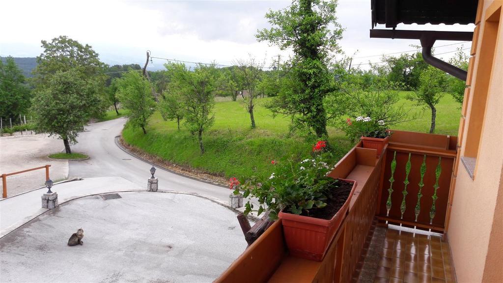 Tourist Farm Skrbina Apartman Otočec Kültér fotó