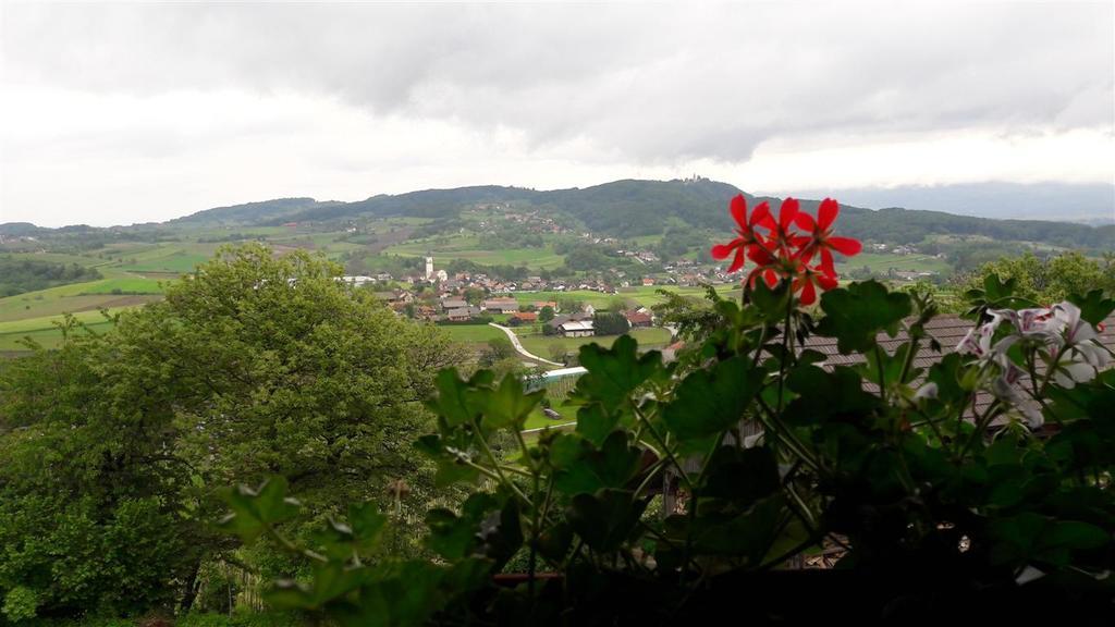 Tourist Farm Skrbina Apartman Otočec Kültér fotó